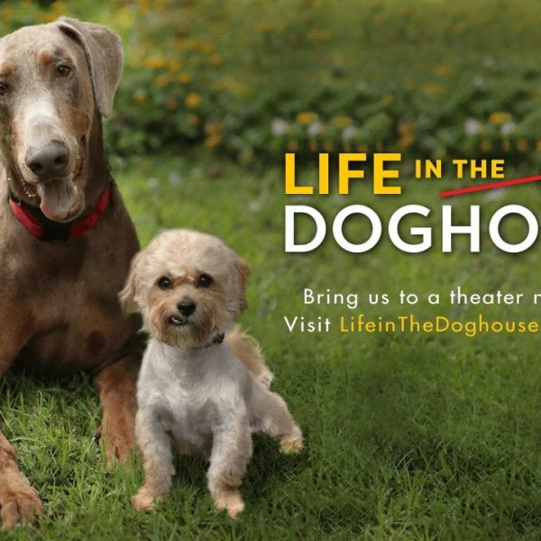Life in the Dog House