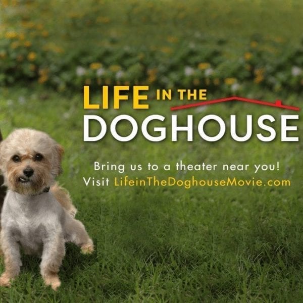 Life in best sale the doghouse documentary