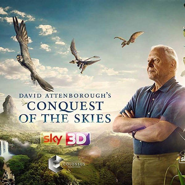 skies