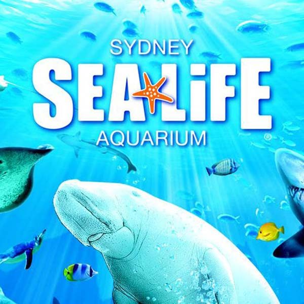 Seallife Aguarium