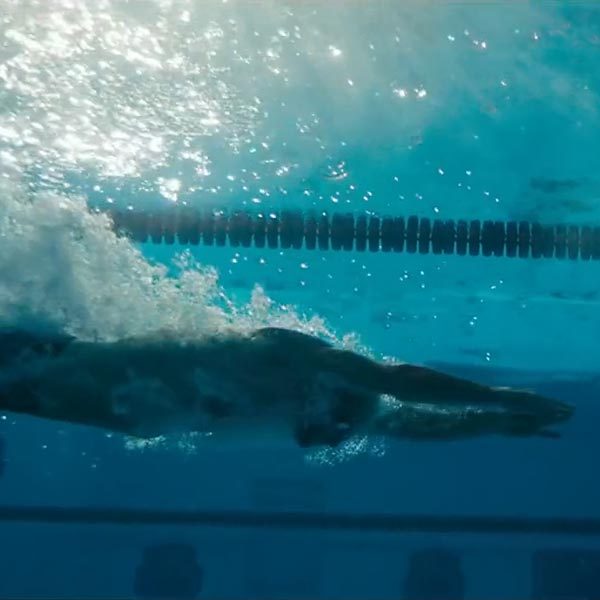 swimmer