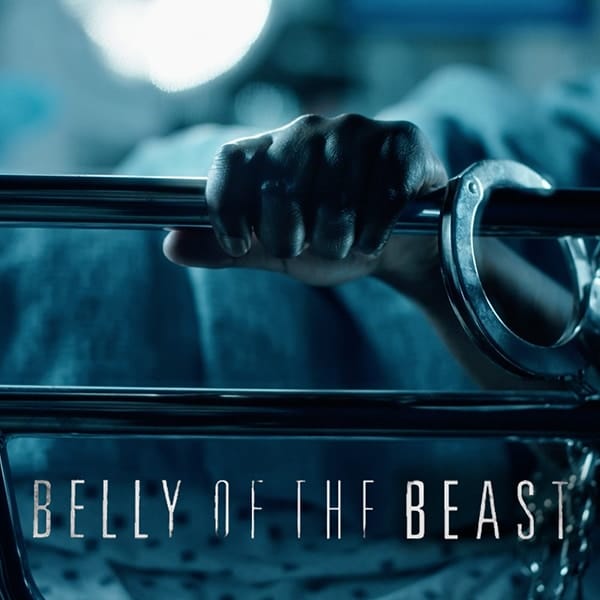 belly-of-the-beast