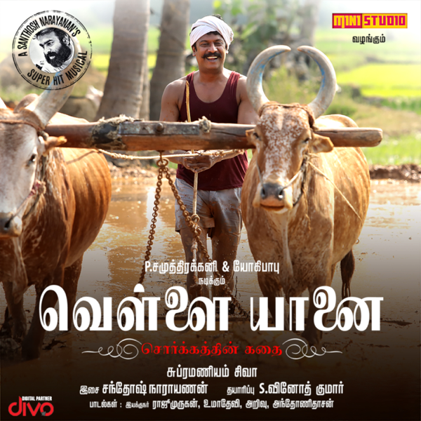 vellai