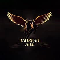 taureau-small