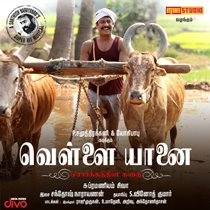 vellai
