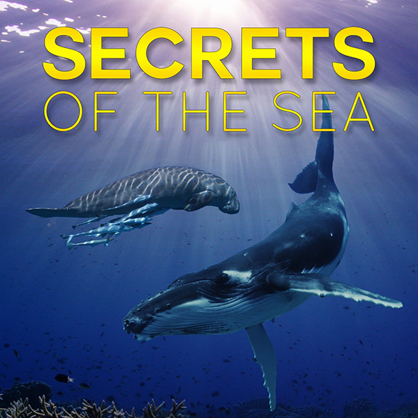 Secrets-of-the-sea